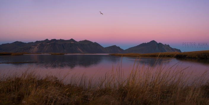 Höfn Höfn