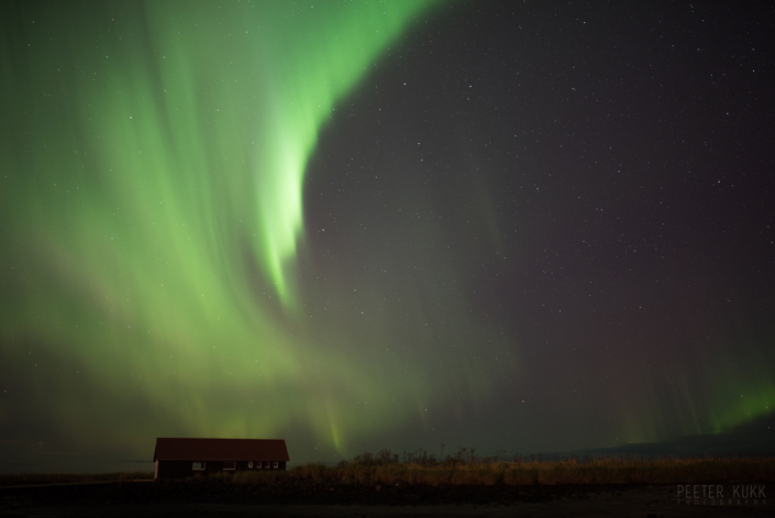 Reykjavik auroras